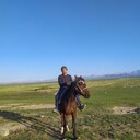 ���������� ������������, ���� ������� ������, 38 ���, ������������ ��� ������, ����� � ���������