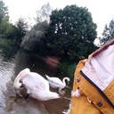 ���������� �����������, ���� ������� ����, 33 ����, ������������ ��� ������, ����� � ���������, c�������� ���������, ���������