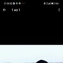 ���������� �������, ���� ����� Sasha, 20 ���, ������������ ��� ������, ����� � ���������