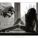 ���������� �����, ���� ������� �������, 36 ���, ������������ ��� ������