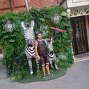  ,   , 38 ,   ,   