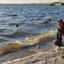 ���������� ���������, ���� ������� Shms, 36 ���, ������������ ��� c�������� ���������