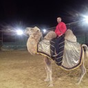  ,   , 44 ,   ,   , c 