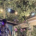 ���������� �������, ���� ������� ���, 27 ���, ������������ ��� ������, ����� � ���������