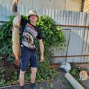 ���������� �����, ���� ������� �������, 44 ����, ������������ ��� ����� � ���������, c�������� ���������