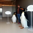 ���������� �������, ���� ������� Vladislav, 43 ����, ������������ ��� ������, ����� � ���������