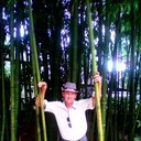  ,   , 53 ,   
