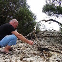  ,   Platon, 45 ,   ,   