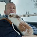 ���������� ������, ���� ������� ���������, 51 ���, ������������ ��� ������, ����� � ���������