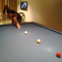 ���������� ����, ���� ������� NAZIM, 43 ����, ������������ ��� ������