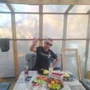 ���������� �����������, ���� ������� �������, 38 ���, ������������ ��� ����� � ���������, c�������� ���������, ���������