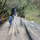  --,   , 37 ,   c 