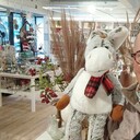 Ahrensburg,   , 51 ,     , c 