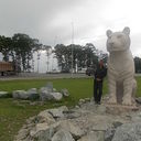 ���������� �����, ���� ������� ������, 43 ����, ������������ ��� ������, ����� � ���������, c�������� ���������