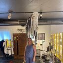 ���������� ������, ���� ������� ������, 50 ���, ������������ ��� c�������� ���������