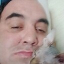 ���������� ������������, ���� ������� �����, 49 ���, ������������ ��� ������, ����� � ���������, c�������� ���������, ���������