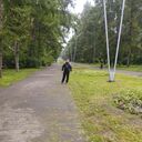  ,   , 33 ,   ,   