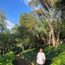 ���������� �������, ���� ������� Cavid, 29 ���, ������������ ��� ������, ����� � ���������