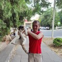 ���������� ������, ���� ������� �����, 45 ���, ������������ ��� ������, ����� � ���������, c�������� ���������, ���������