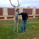  ,   Aslan, 40 ,   