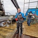 ���������� �����-���������, ���� ������� Filipp, 29 ���, ������������ ��� ������, ����� � ���������