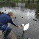  ,   , 62 ,   ,   