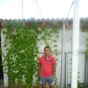 ���������� �����������, ���� ������� ����, 41 ���, ������������ ��� ������, ����� � ���������, c�������� ���������