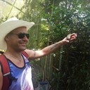 ���������� �������, ���� ������� ����, 45 ���, ������������ ��� ������, ����� � ���������, c�������� ���������