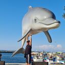 ���������� Lisbon, ���� ������� Yuriy, 51 ���, ������������ ��� ������, ����� � ���������