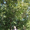  ,   , 47 ,   ,   , c , 