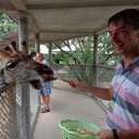 ���������� ���������, ���� ������� ������, 37 ���, ������������ ��� ������, ����� � ���������, c�������� ���������