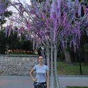 ���������� �����������, ���� ������� �������, 41 ���, ������������ ��� ������, ����� � ���������, c�������� ���������