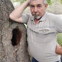   ,   , 54 ,   c 