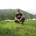 ���������� ����������, ���� ������� ����, 43 ����, ������������ ��� ������