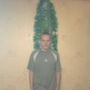  ,   Dobermann, 34 ,   