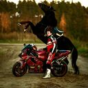  -,   , 39 ,   ,   , c , 