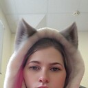 ,   Wild cats, 34 ,     , c 