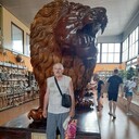  ,   , 65 ,     , c 