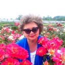  ,   , 62 ,   ,   , c 