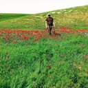 ���������� �����-���������, ���� ������� Boyka, 30 ���, ������������ ��� ����� � ���������, c�������� ���������, ���������