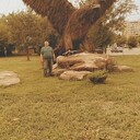  ,   , 58 ,   c 