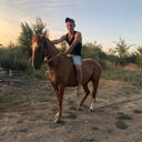 ���������� ������-��-����, ���� ������� ����, 27 ���, ������������ ��� ������, ����� � ���������, c�������� ���������