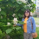 ���������� ���������, ���� ������� ����, 44 ����, ������������ ��� c�������� ���������