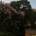 ���������� �����-���������, ���� ����� ���������, 22 ����, ������������ ��� ������, ����� � ���������, c�������� ���������