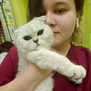  ,   , 25 ,  