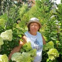 ���������� ��������, ���� ������� �������, 68 ���, ������������ ��� ������, ����� � ���������, c�������� ���������