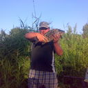 ���������� ������, ���� ������� Aleksey, 43 ����, ������������ ��� ������, ����� � ���������, c�������� ���������