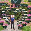  ,   , 53 ,   ,   , c 