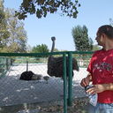 ���������� ���������, ���� ������� Dron, 41 ���, ������������ ��� ������, ���������