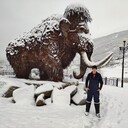 ���������� ����, ���� ������� ���������, 32 ����, ������������ ��� ������, ����� � ���������